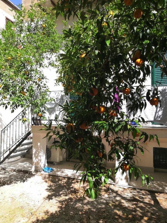 Garden House: Apartments And Rooms For Holidays Palermo Eksteriør bilde